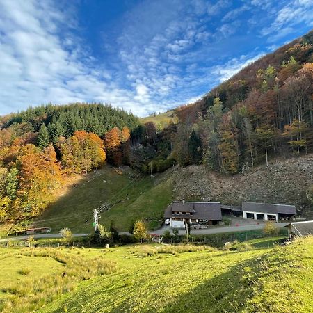 Bauernhaus Im ミュンスタータール エクステリア 写真