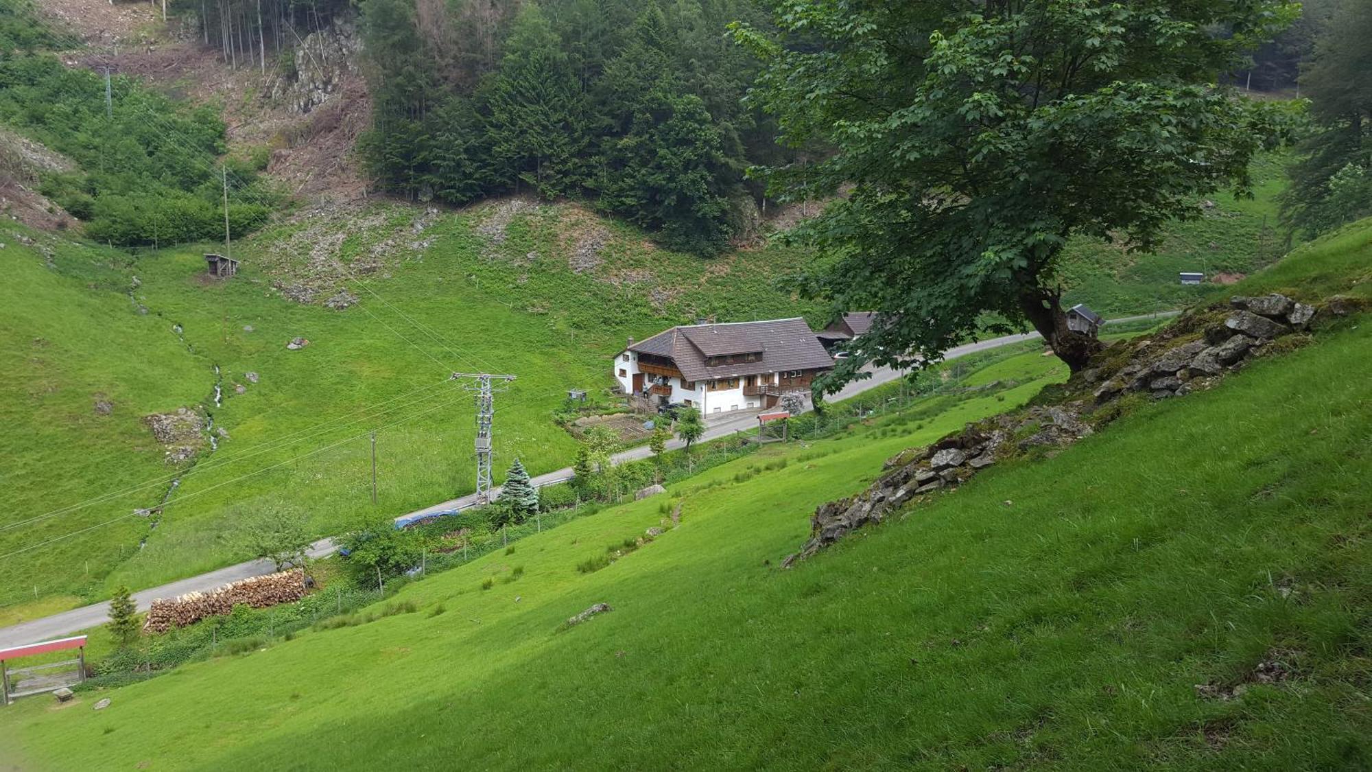 Bauernhaus Im ミュンスタータール エクステリア 写真