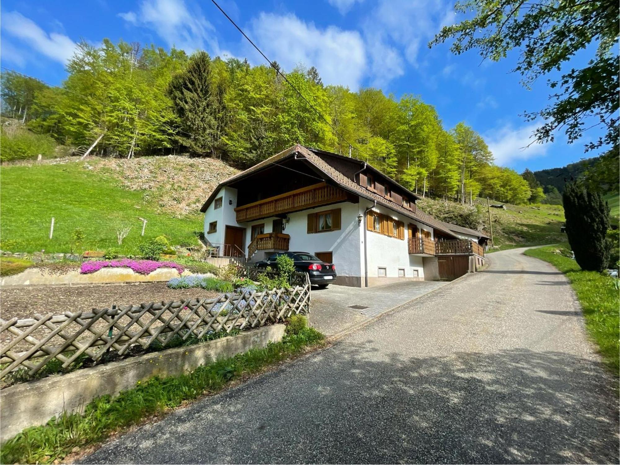 Bauernhaus Im ミュンスタータール エクステリア 写真