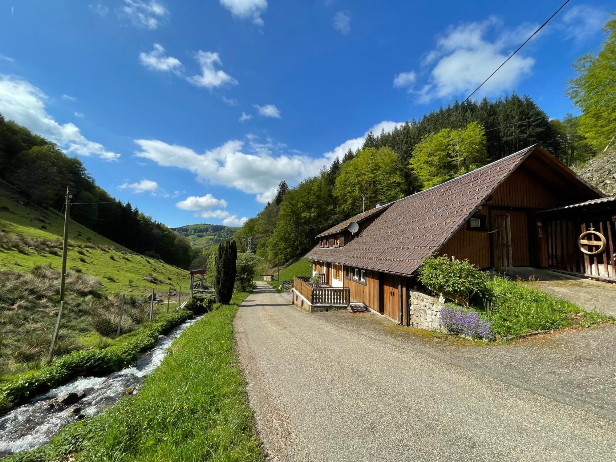 Bauernhaus Im ミュンスタータール エクステリア 写真