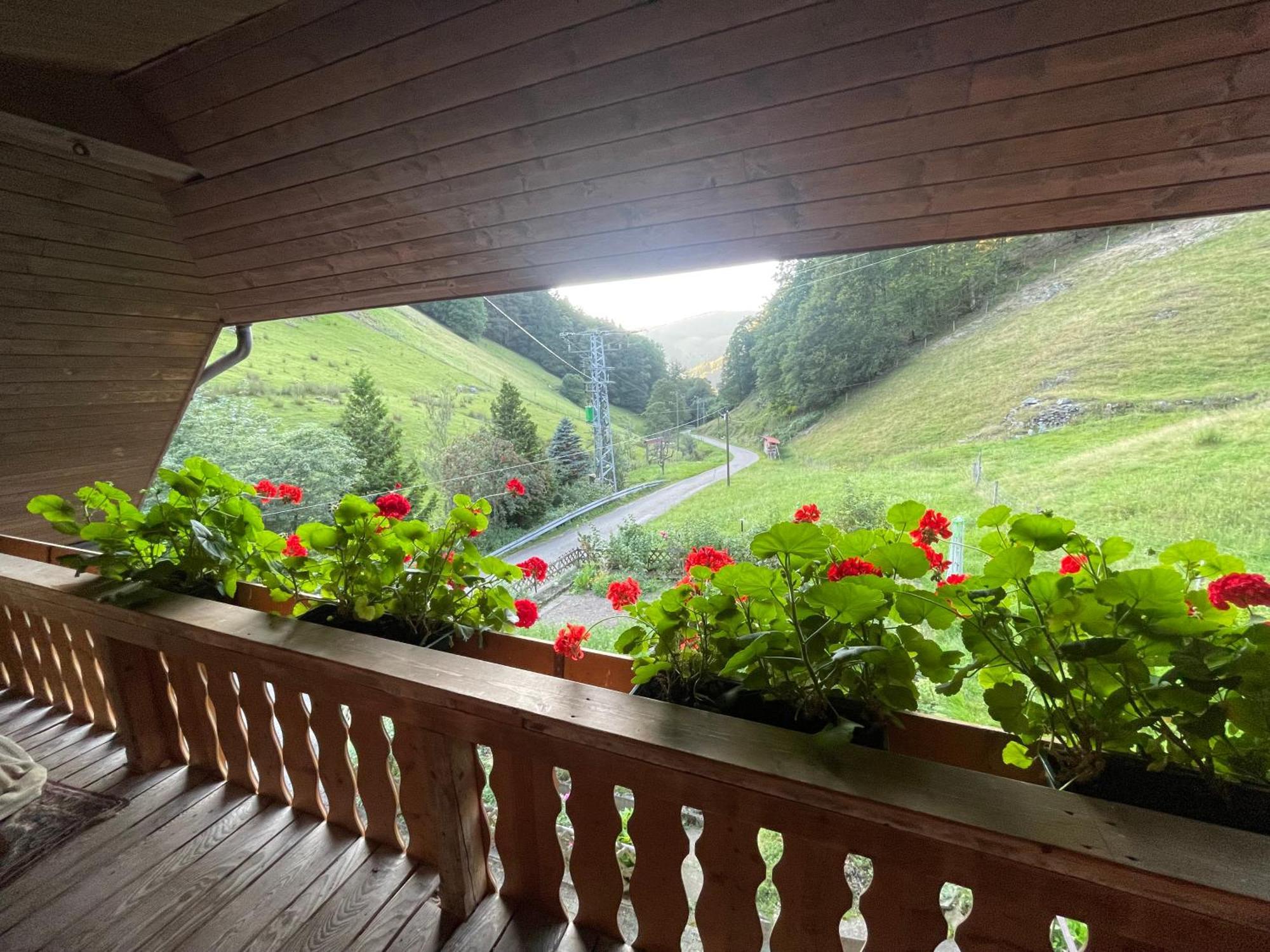 Bauernhaus Im ミュンスタータール エクステリア 写真