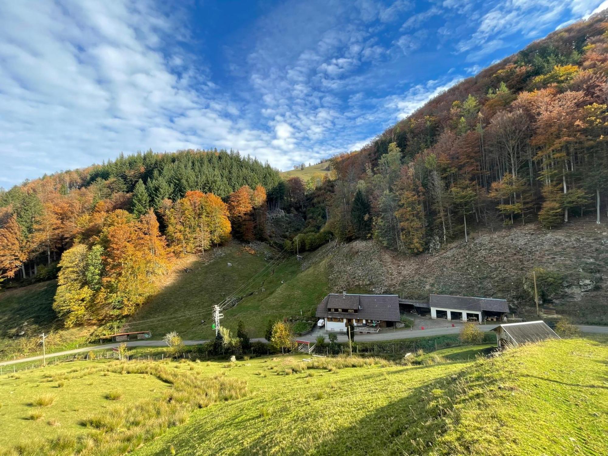 Bauernhaus Im ミュンスタータール エクステリア 写真